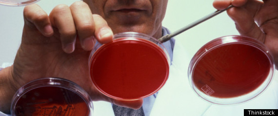 Antibiotic Resistance