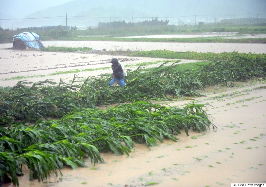 typhoon china