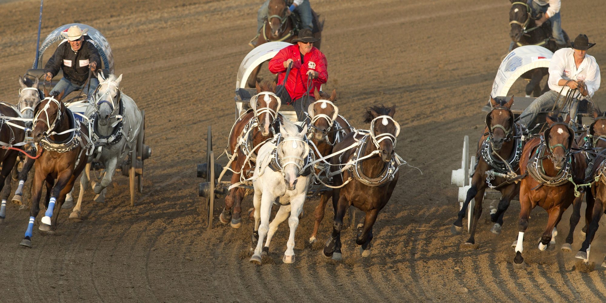 Calgary Stampede Horse Deaths Spur Review