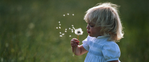 Rising Seasonal Allergies