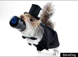 Beer Meets Taxidermy: The Next Big Idea?