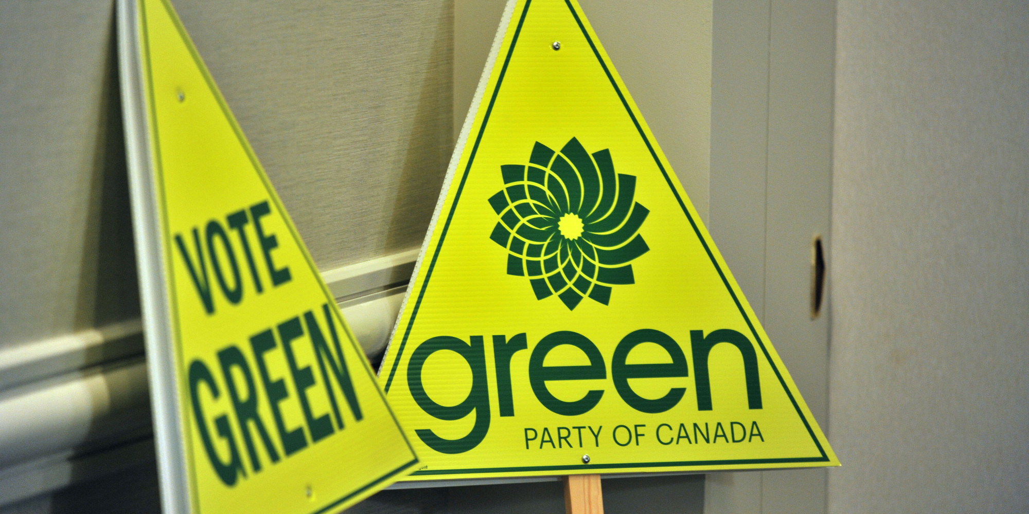 why-i-m-running-for-the-green-party-of-canada-deborah-coyne