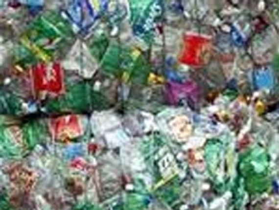 Cash For Trash