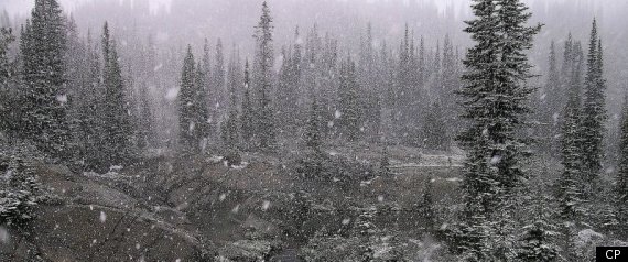 Nelson Glacier