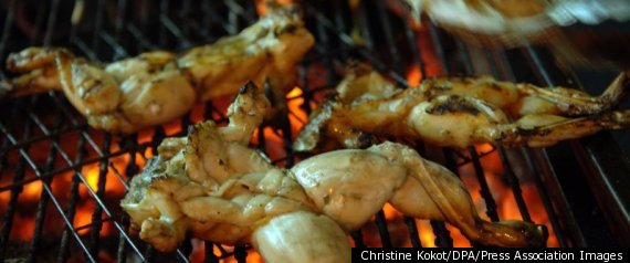 Frogs Legs