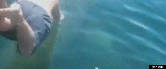 Man Jumps On Shark