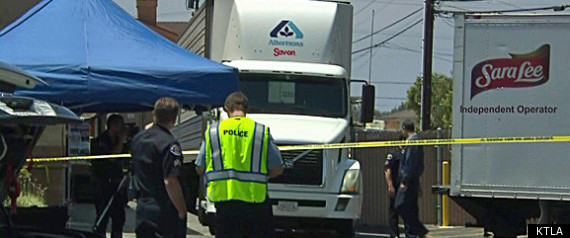 Seven Year Old Biker Killed