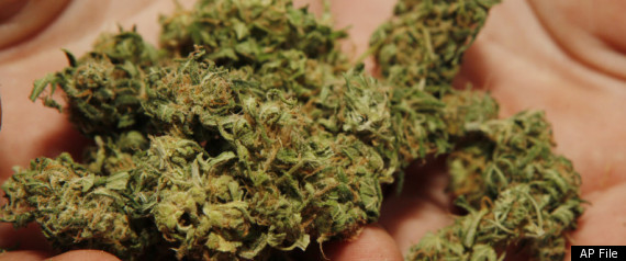 Medical Marijuana Boulder