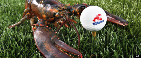 Fourchu Lobster