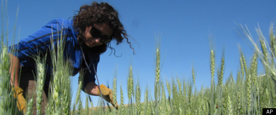 Organic Farming