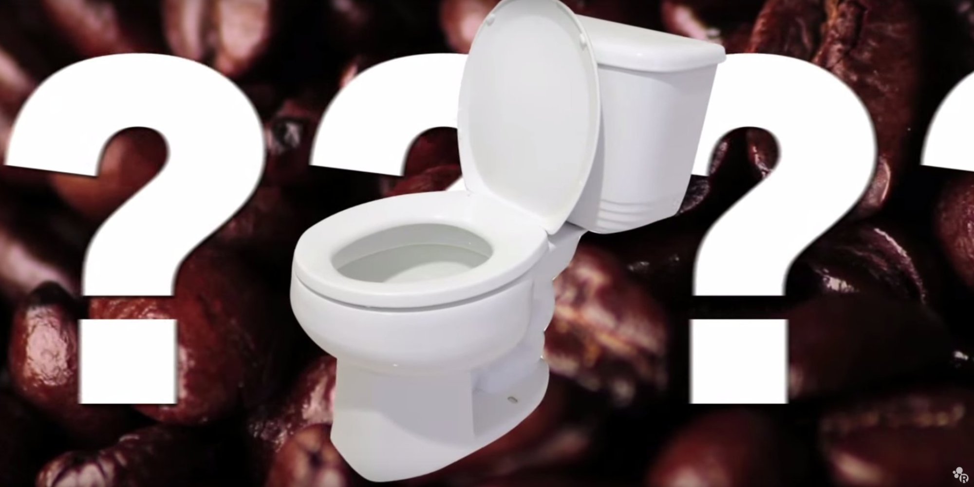 Why Does Coffee Make You Poo? One Of Life's Greatest Mysteries, Revealed