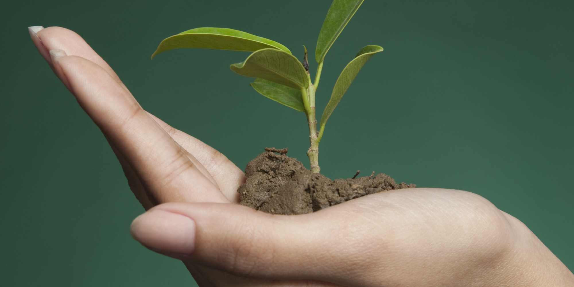 A New Wave in Real Estate Investment (Part Four) - Huffington Post