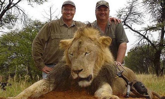 cecil the lion walter palmer
