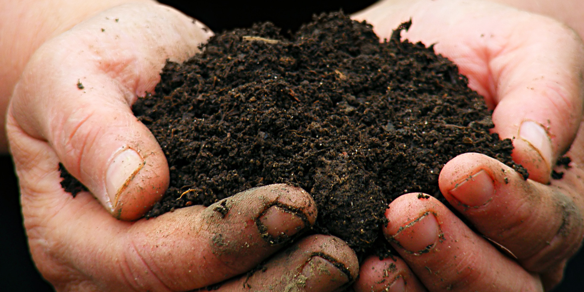 5-fertilizer-facts-that-dispel-the-myths-huffpost