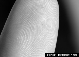 Fingerprint