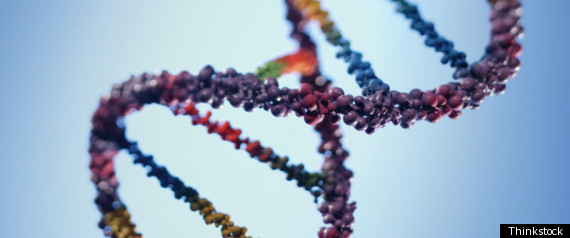 Prostate Cancer Genes