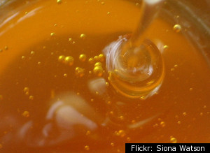 Illegal Honey