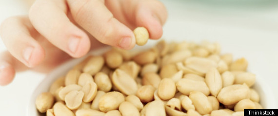 Nut Allergy