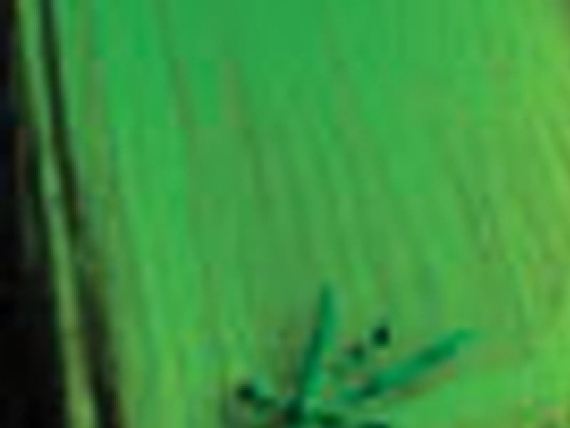 Greenwash