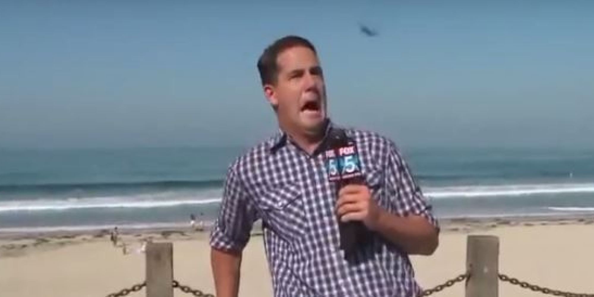 Reporter Scared By Big Bug On Live TV