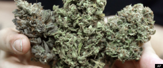 Medical Marijuana