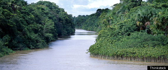 Amazon River