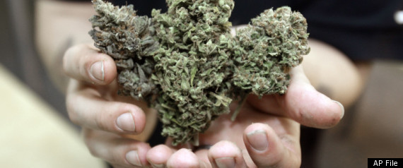 Marijuana