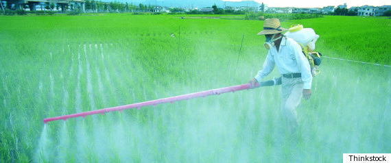 Latino Students Pesticide