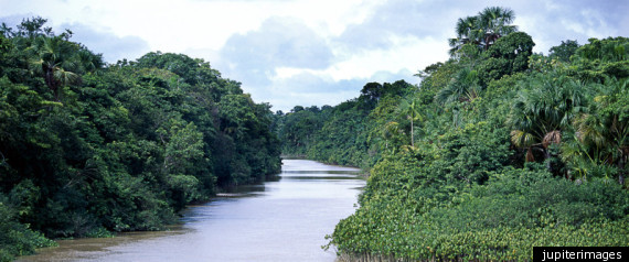 Amazon Underground River