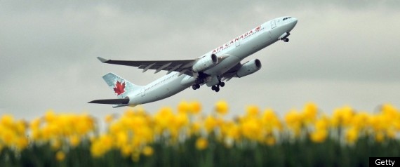 Air Canada Flight Attendants