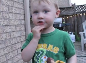 Boy Finds Fly In Spider Web
