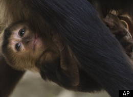 PHOTOS: The Best Animal Images Of The Week