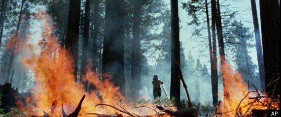Yosemite Fire