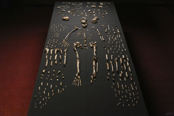 http://i.huffpost.com/gen/3401508/thumbs/o-HOMO-NALEDI-570.jpg