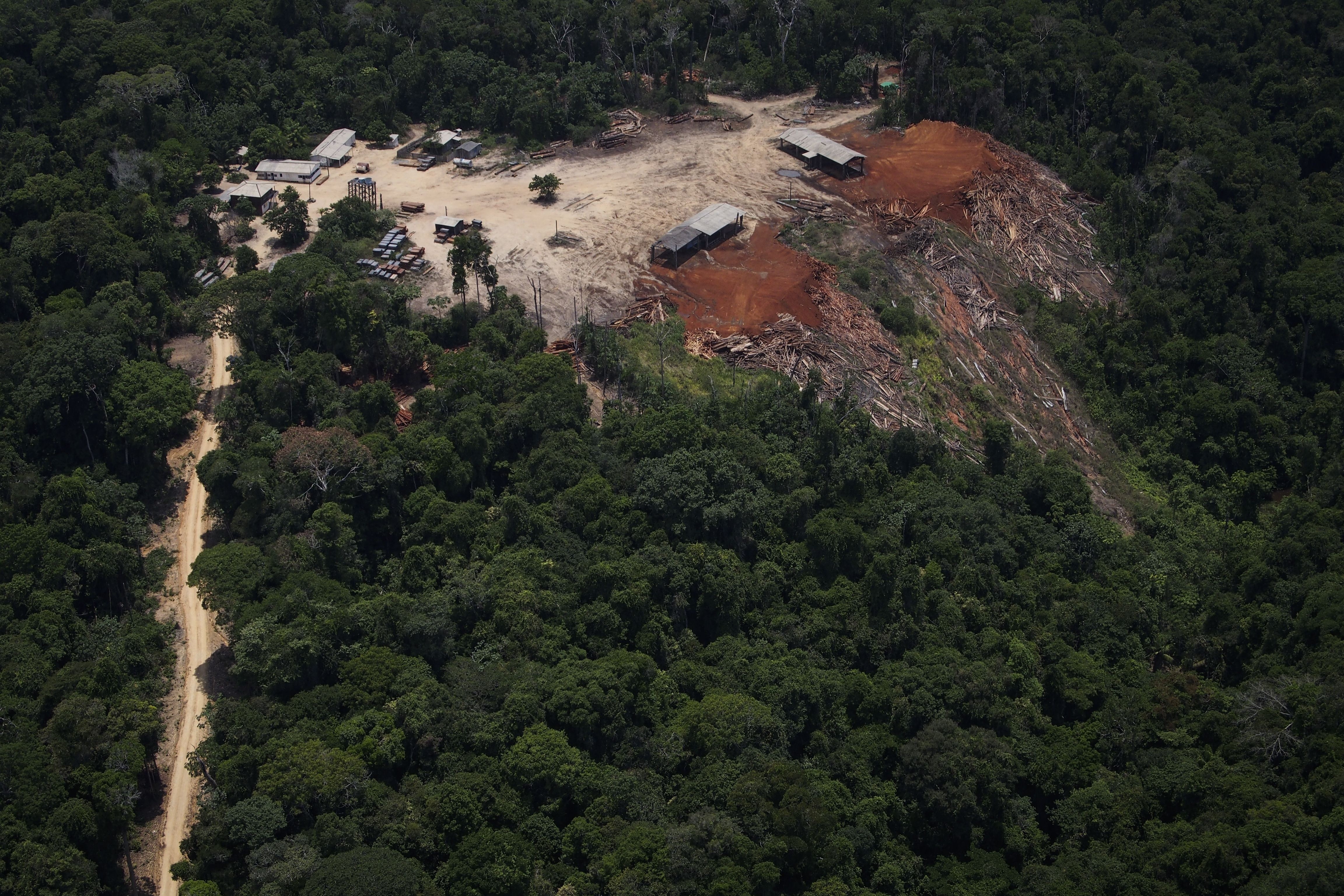 amazon forests brazil
