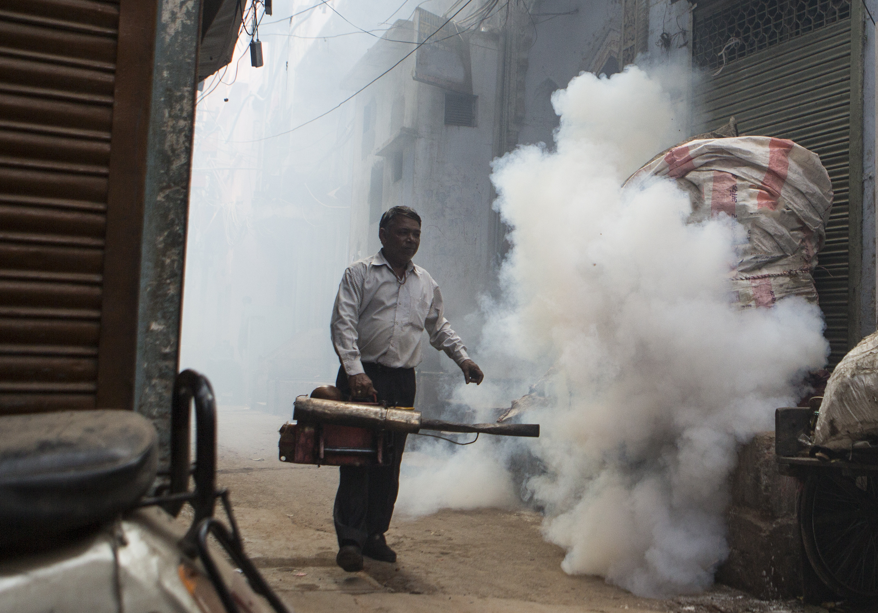 dengue india
