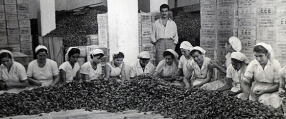 KALAMATA PAPADIMITRIOU