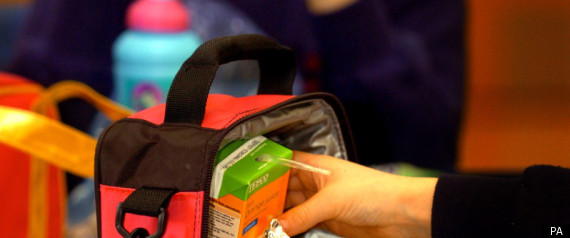 Which Lunchbox Survey