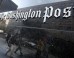 washington-post