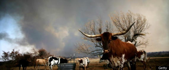Texas Wildfires 2011