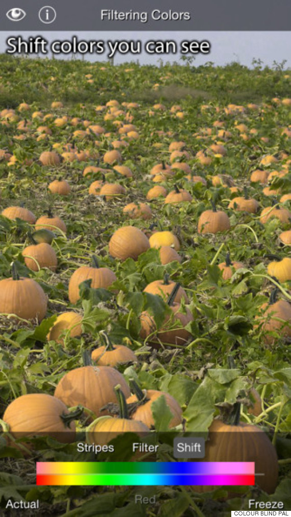 Colour Blind Pal App Lets People 'See Colour' For The First Time