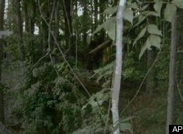 Bigfoot Found? Georgia Men Present Their Evidence