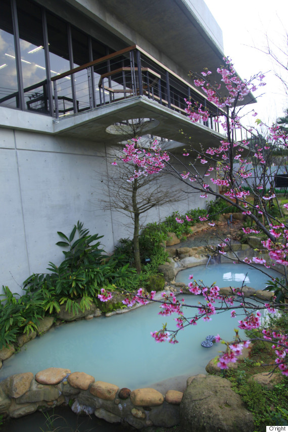 eco ponds