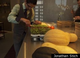 A Behind-The-Scenes Look At Growing Food For Top Restaurants