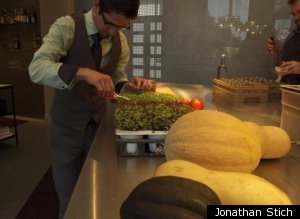 Food Informants Farmer