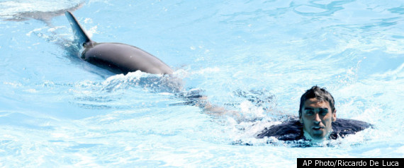 Dolphins Race Human