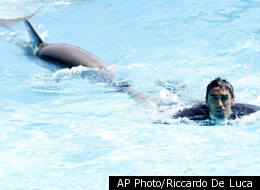 Dolphins Beat Italian Swimming Champ In Race-off