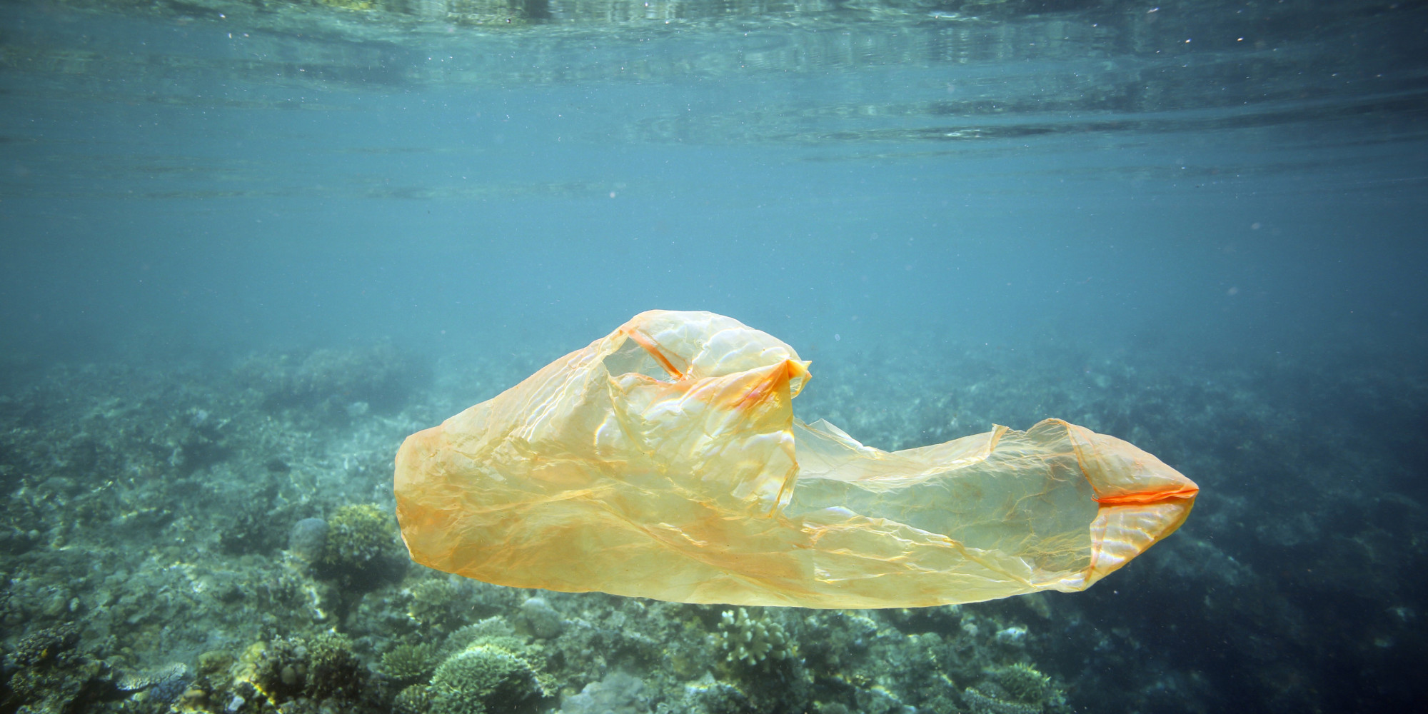 we-can-solve-the-ocean-plastic-problem-huffpost