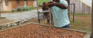 agricultor