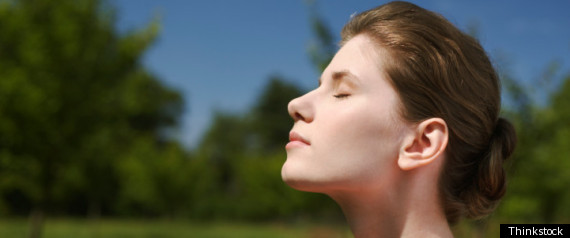 Mindfulness Day